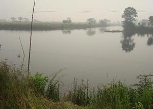 石橋鎮永新村