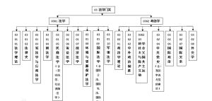 法律專業