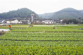 東莞鳳崗南門山森林公園