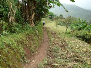 雲縣栗樹彝族傣族鄉大田山村委會箐頭自然村  村內道路