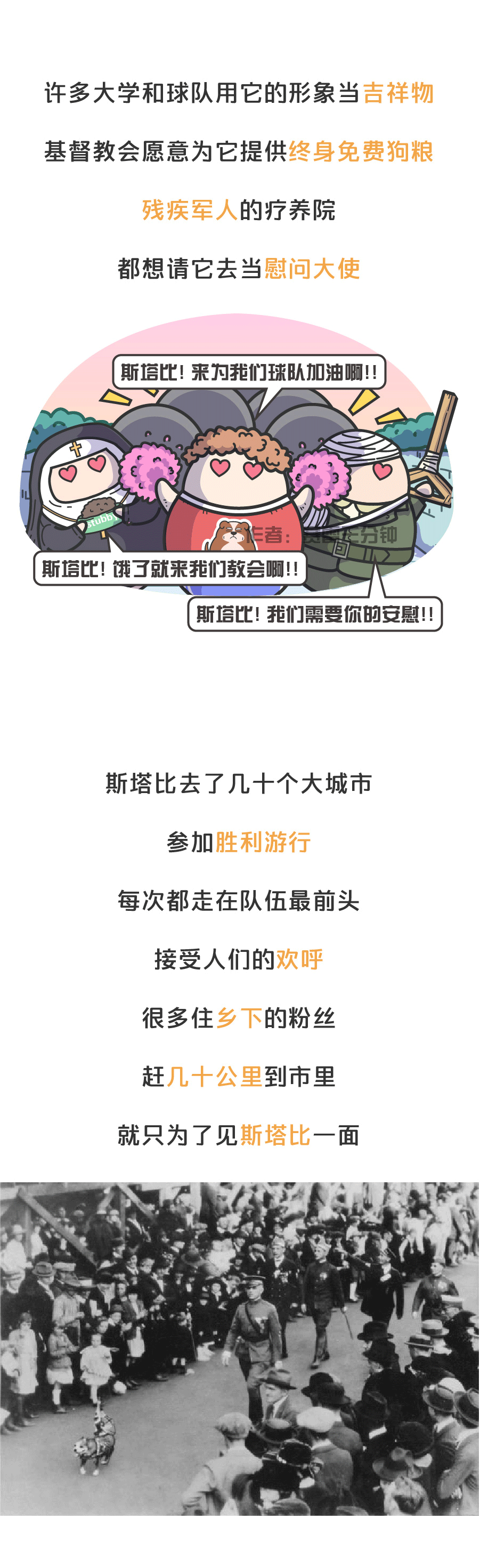 一條成為美國英雄的串串狗，三任總統都是它的鐵桿粉