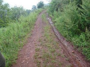 南松園村通村道路