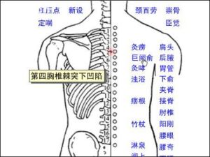 巨闕俞