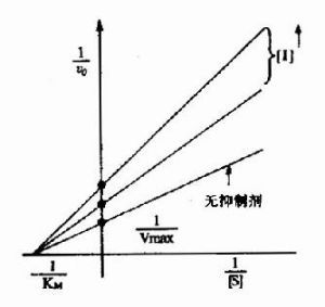 非競爭性抑制劑