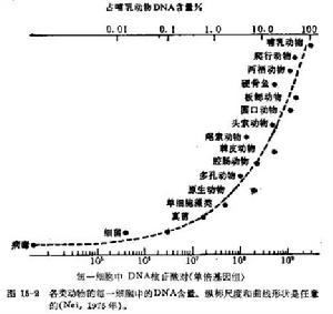 進化趨勢