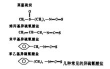 異硫氰酸鹽