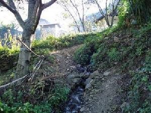 四季坪村發展重點－村內道路