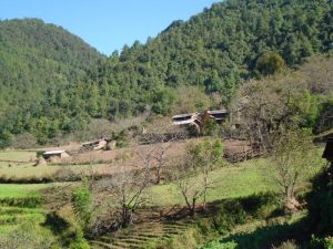 黑山門村