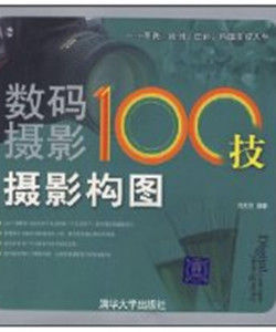 數碼攝影100技攝影構圖