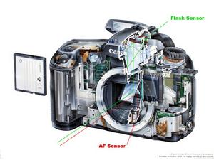 圖6：佳能 EOS D60 結構圖