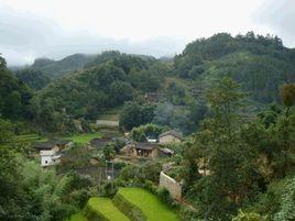 大坪子村[雲南省文山州富寧縣田蓬鎮大坪子村]