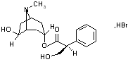 氫溴酸山莨菪鹼片