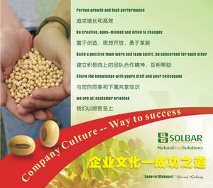 Company Culture of Solbar Ningbo