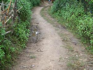 何家自然村[雲南省鳳慶縣三岔河鎮下轄村]