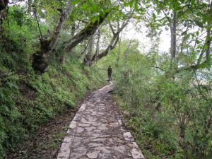 石登村[雲南省劍川縣羊岑鄉石登村]