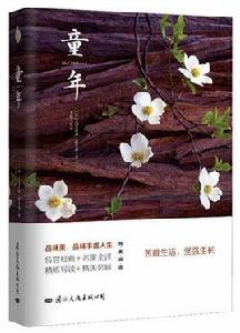 童年[國際文化出版公司出版圖書]