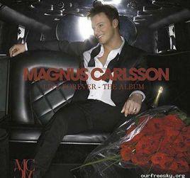 I Need Your Love[Magnus Carlsson演唱歌曲]