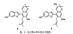 化合物4和5的分子結構