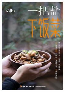 一把鹽下飯菜