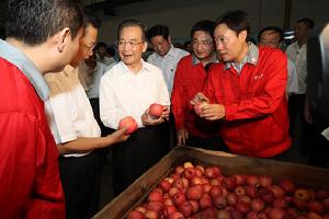 2010年7月16日，溫家寶在陝西華聖果業公司向企業負責人詳細詢問蘋果出口情況。