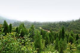 沅陵縣鳳凰山