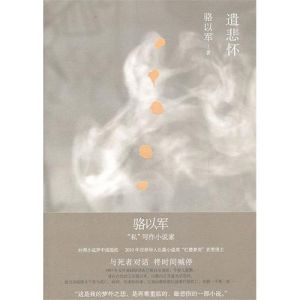 《遣悲懷》[小說]