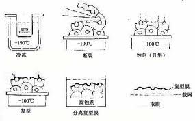 實驗步驟