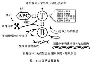 環境流行病學