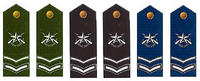 陸海空軍三級士官肩章