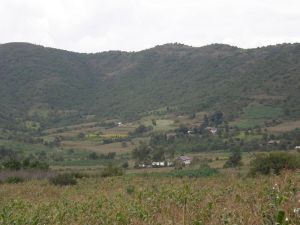 洪水塘村[雲南大營鎮下轄村]