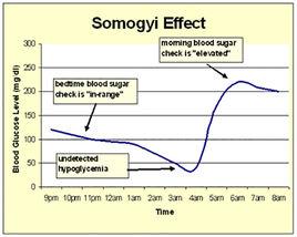 somogyi現象