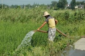 灌水定額