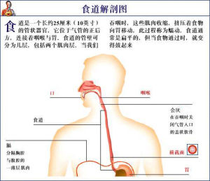 噎膈