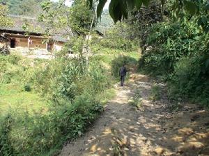 進村道路