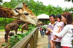 廣州香江野生動物世界