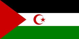 撒拉威阿拉伯民主共和國
