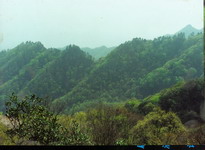 化龍山國家級自然保護區