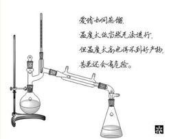 愛情化學反應[生物學]