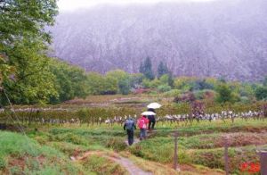 柏樹林村