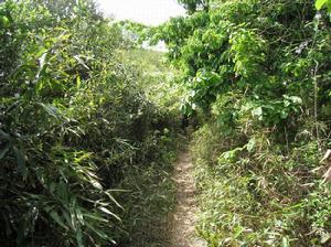 清秀嶺古道