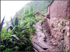 進村道路