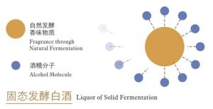 純糧固態原酒