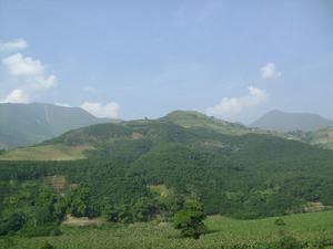 山野林地