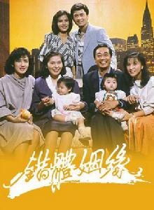 錯體姻緣[1985年呂良偉主演電視劇]