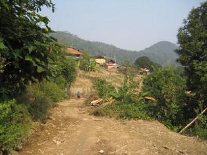 鄉村道路