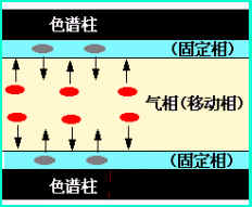 塔板理論