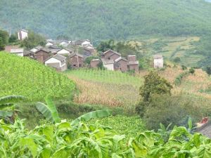 阿拉庫村