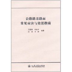 《公路路基路面常見病害與處置指南》