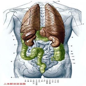 醫學常識