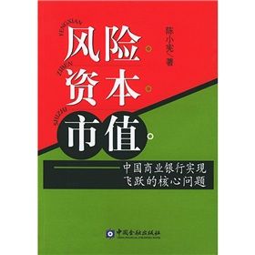 《風險資本市值：中國商業銀行實現飛躍的核心問題》